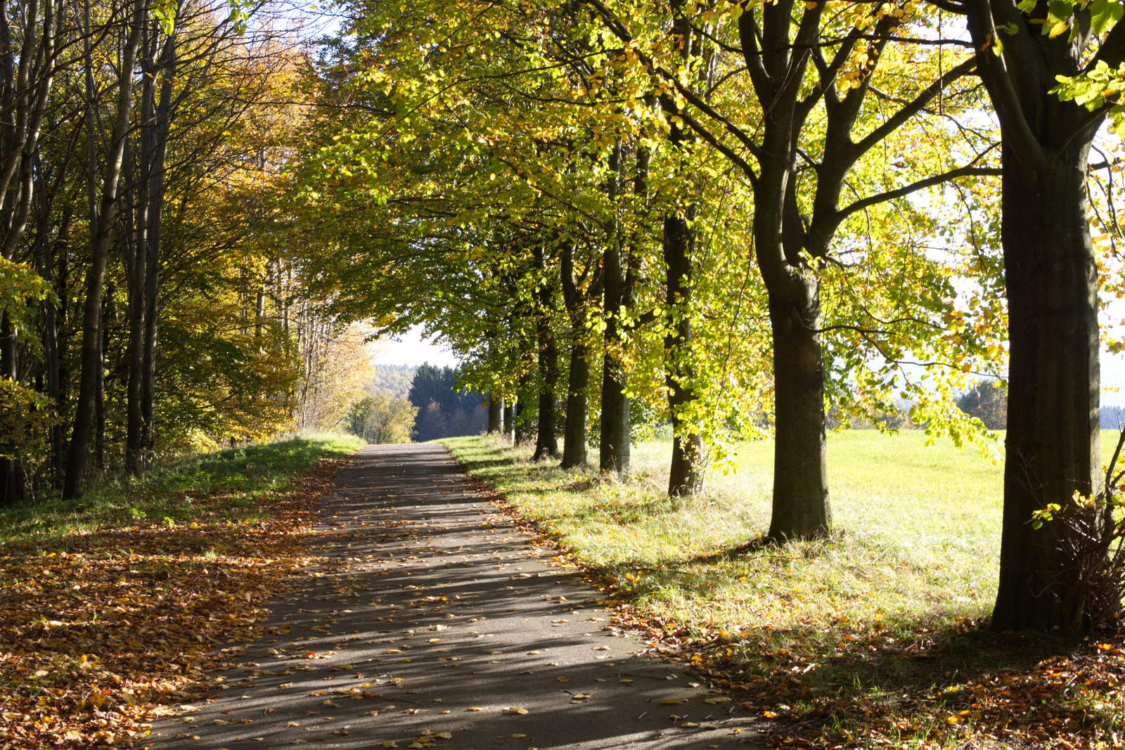 Herbst in Lindenberg Liebenswertes Lindenberg