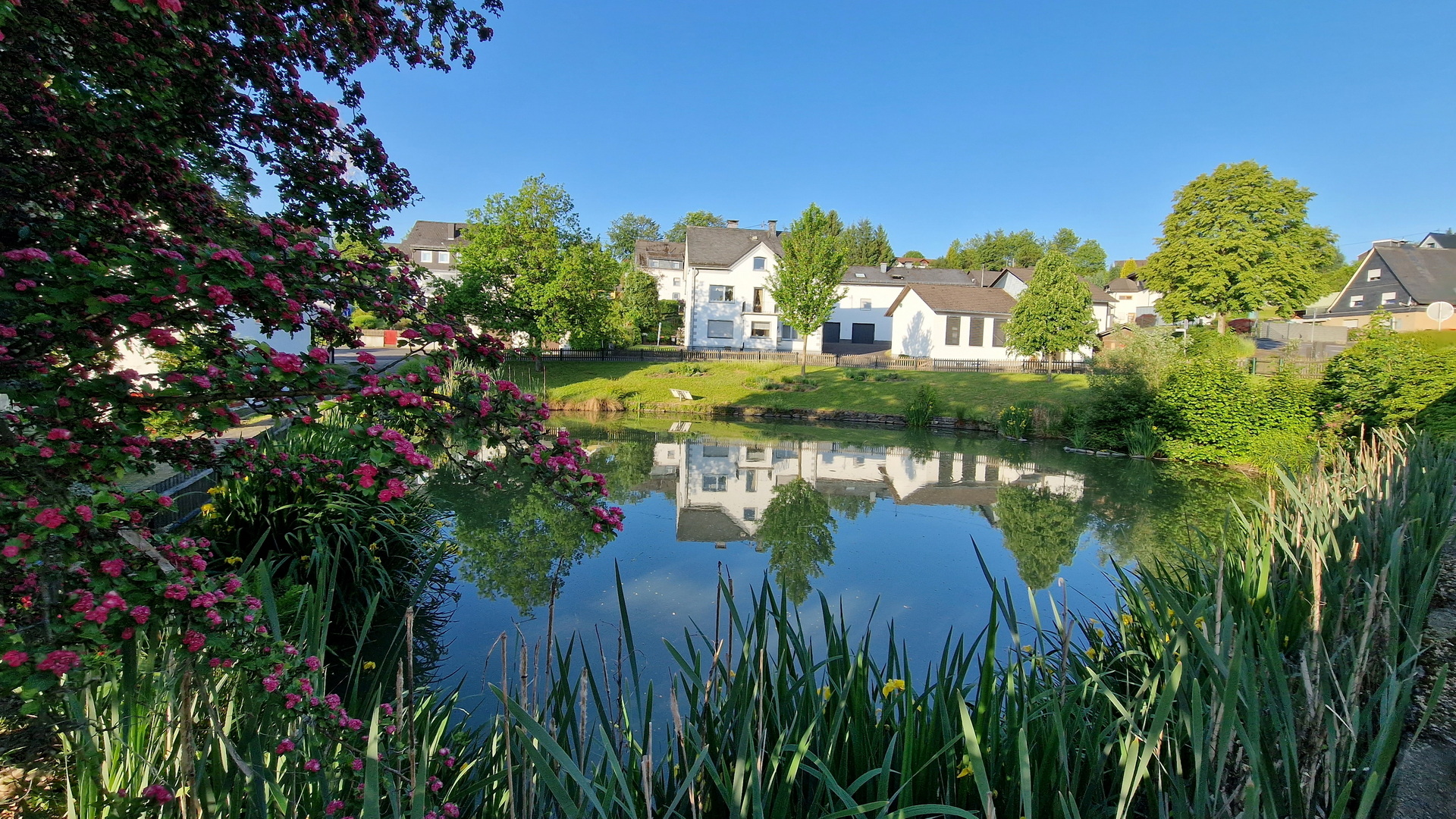 Liebenswertes Lindenberg